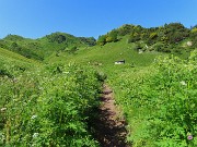 22 Baitella tra verdi pratoni